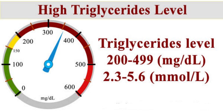 Triglycerid cao dẫn đến nhiều bệnh lý nguy hại cho sức khỏe