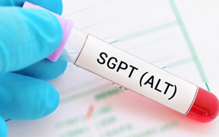 Xét nghiệm GPT giúp phát hiện những tổn thương của gan