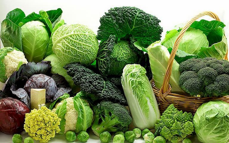 Các loại rau xanh đậm có nhiều lợi ích với người bệnh viêm đa khớp