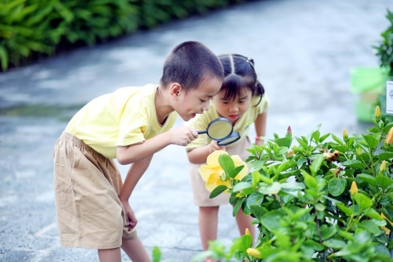 Hạn chế để trẻ tiếp xúc với các khu vực nhiều cây cối, côn trùng, ô nhiễm, khói bụi,...