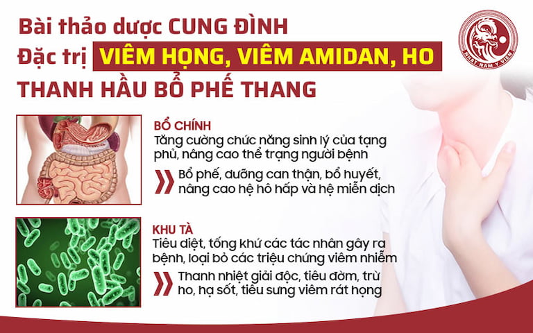 Cơ chế điều trị của bài thuốc Thanh hầu bổ phế thang