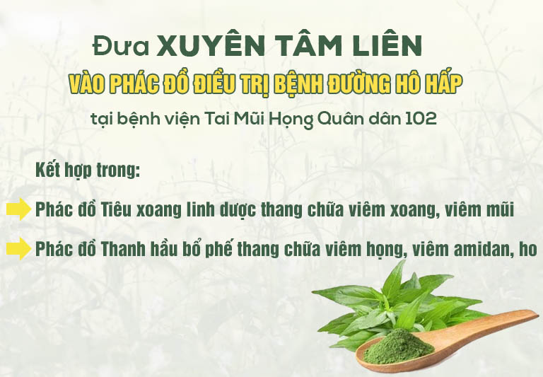 Kết hợp xuyên tâm liên trong các phác đồ điều trị bệnh hô hấp tại Quân dân 102