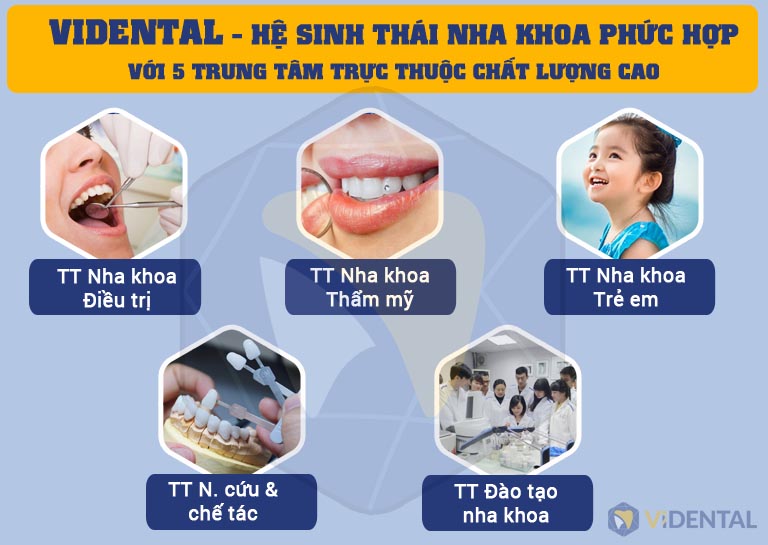 Trung tâm Nha khoa điều trị Vidental - Nơi mang đến giải pháp chăm sóc răng miệng hoàn hảo 