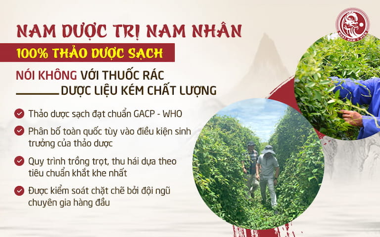 Bài thuốc sử dụng 100% thảo dược đạt chuẩn GACP - WHO