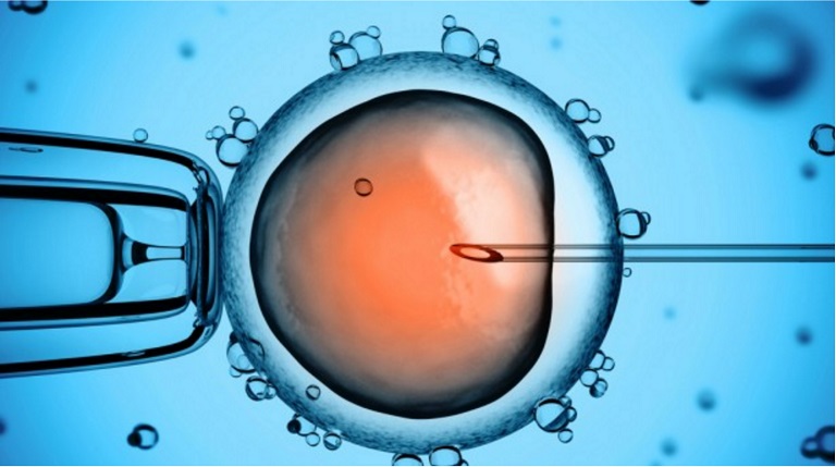 Thụ tinh trong ống nghiệm giúp tăng khả năng thụ thai cho anh em