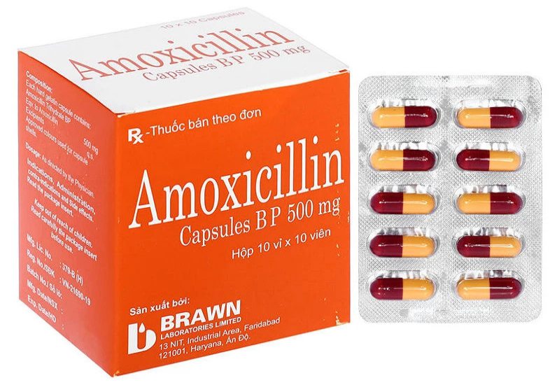 Amoxicillin là thuốc kháng sinh giúp bạn giảm nhanh những cơn đau dạ dày