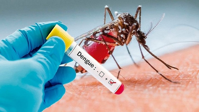 Xét nghiệm NS1 là loại xét nghiệm giúp phát hiện kháng nguyên Dengue NS1 trong máu