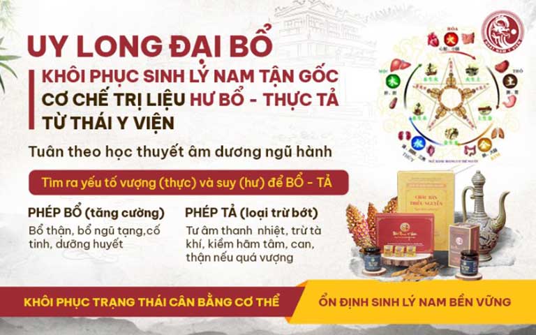 Cơ chế điều trị sinh lý nam được ứng dụng vào Uy Long Đại Bổ