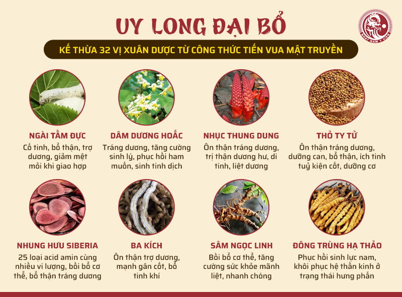 Các thành phần thảo dược trong Uy Long Đại Bổ