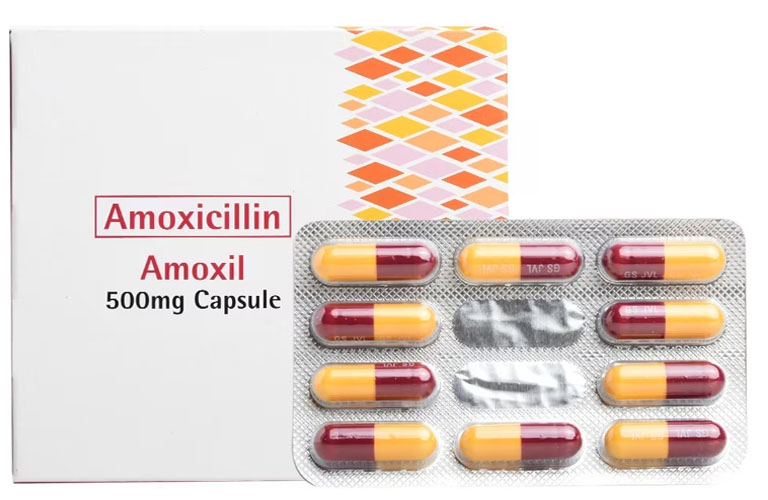 Thuốc kháng sinh Amoxicillin (Amoxil)