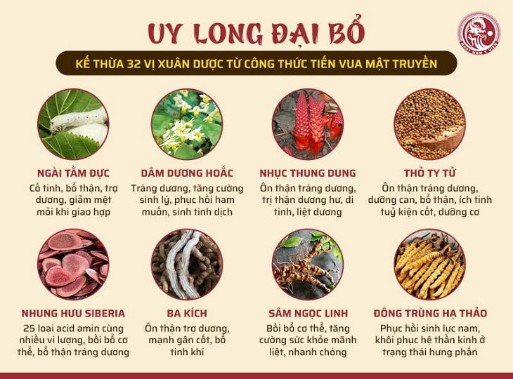 Thành phần dược liệu có trong bài thuốc Uy Long Đại Bổ